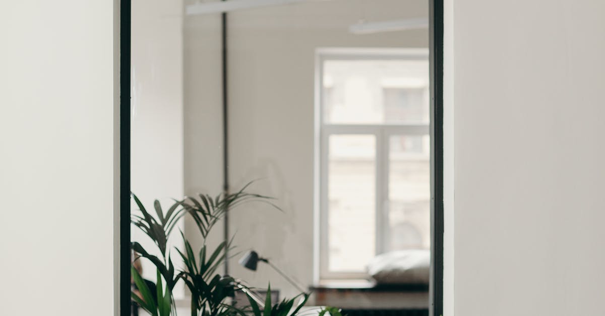 How to verify the credibility of an accreditation body