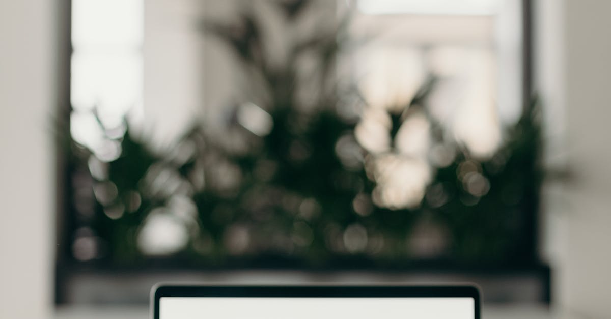 Roundup of the Best Resources for Earning Project Management Certifications
